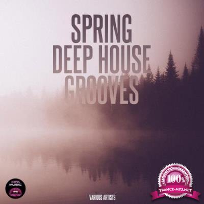 Spring Deep House Grooves (2017)