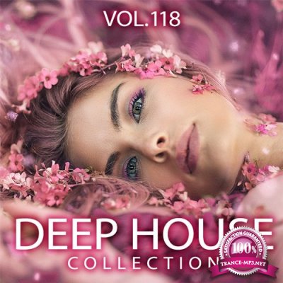 Deep House Collection Vol.118 (2017)