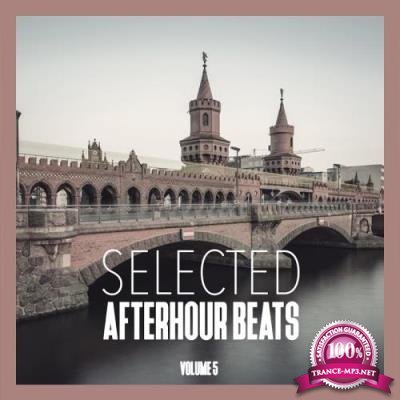 Selected Afterhour Beats, Vol. 5-Best of House and Techno (2017)