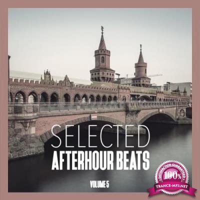 Selected Afterhour Beats, Vol. 5-Best of House and Techno (2017)