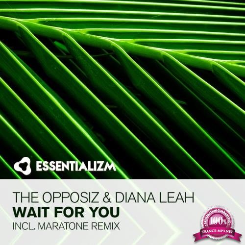 The Opposiz and Diana Leah - Wait For You (2017)