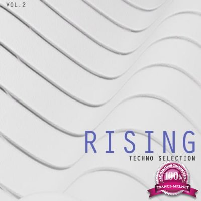 Rising Techno Selection, Vol. 2 (2017)