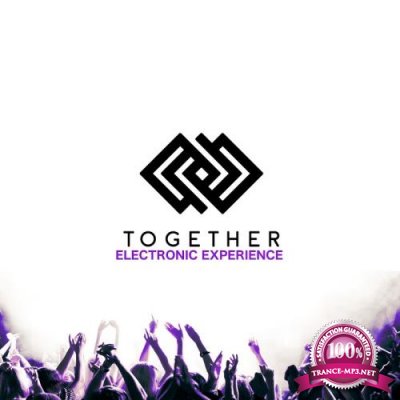 Together Electronic Experience, Vol. 02 (2017)