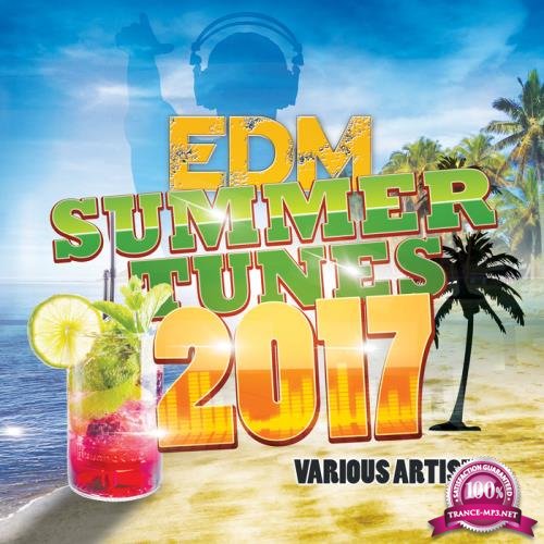 EDM Summer Tunes 2017 (2017)