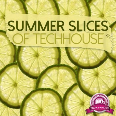 Summer Slices of Techhouse (2017)