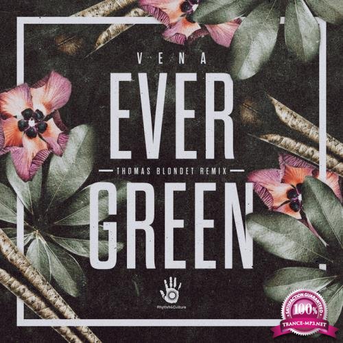 Vena - Evergreen (2017)