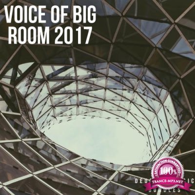 Voice Of Big Room 2017 (2017)