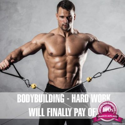 Bodybuilding: Hard Work Will Finally Pay Off (2017)