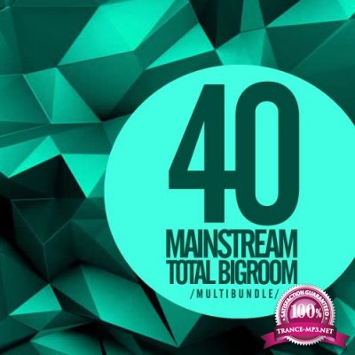 40 Mainstream Total Bigroom Multibundle (2017)