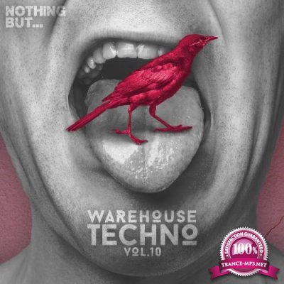 Nothing But... Warehouse Techno, Vol. 10 (2017)