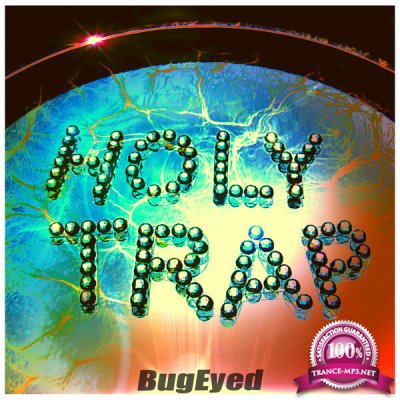 VA - Holy Trap 2 (2017)