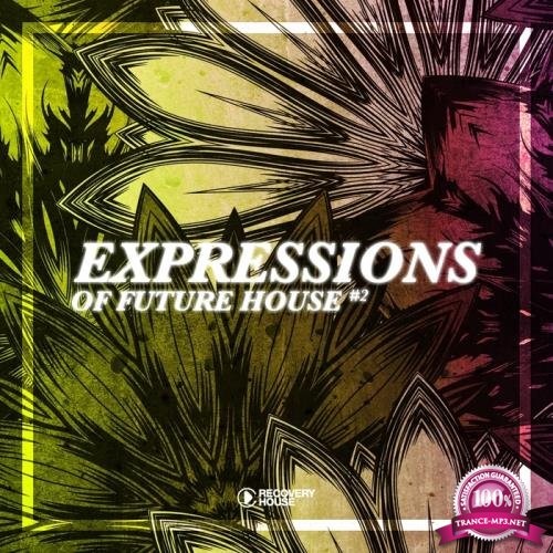 Expressions Of Future House, Vol. 2 (2017)