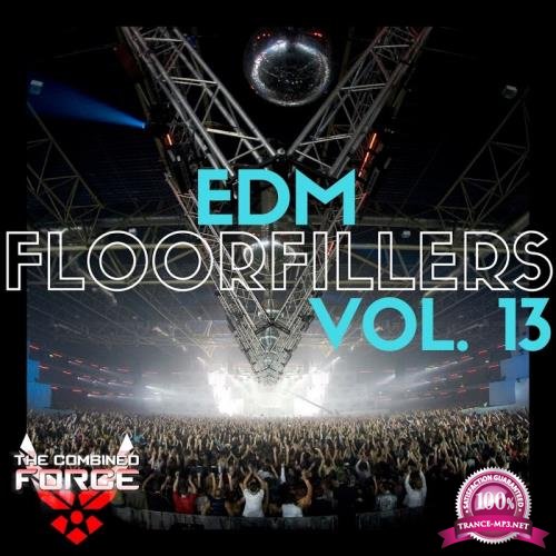 Edm Floorfillers Vol.13 (2017)