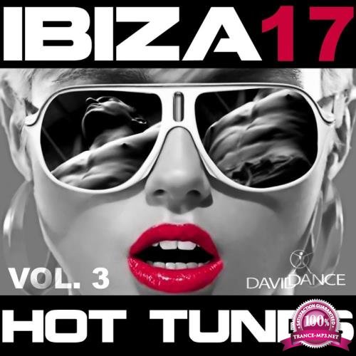 Ibiza 2017 - Hot Tunes Vol. 3 (2017)