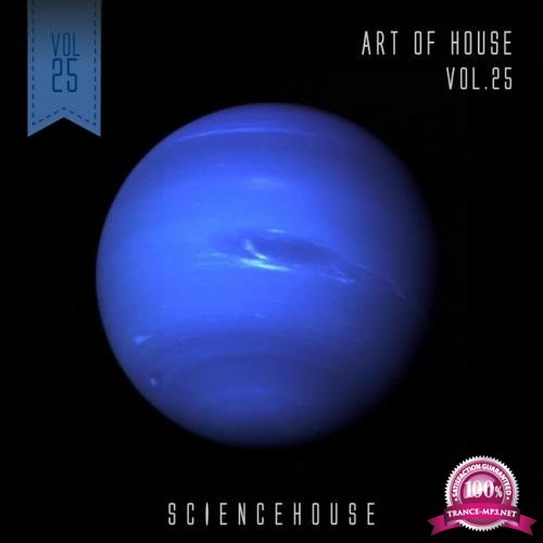 Art Of House - Vol.25 (2017)
