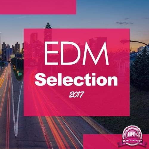 Edm Selection 2017 (2017)