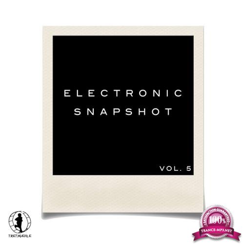Electronic Snapshot, Vol. 5 (2017)