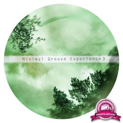 Minimal Groove Experience 3 (2017)