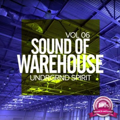 Sound Of Warehouse, Vol.6: Undrgrnd Spirit (2017)