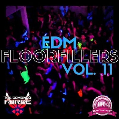 Edm Floorfillers Vol 11 (2017)