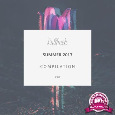 Bullfinch Summer Compilation 2017 (2017)