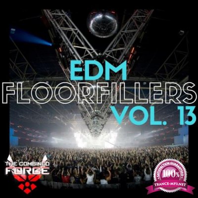 Edm Floorfillers Vol.13 (2017)