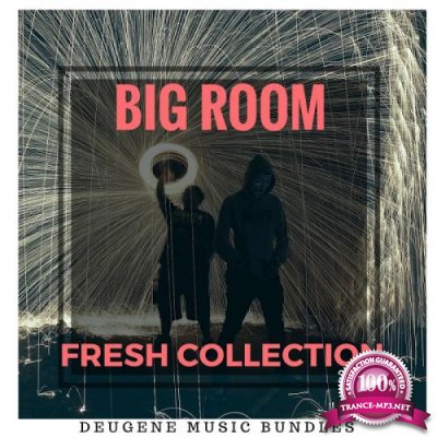 Big Room Fresh Collection 2017 (2017)