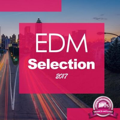 Edm Selection 2017 (2017)