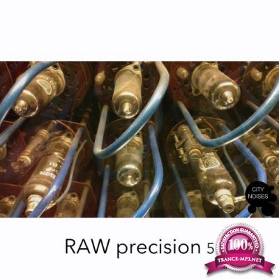Raw Precision 5 (2017)