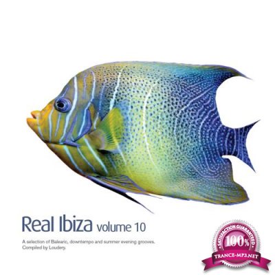 Real Ibiza vol 10 (2017)