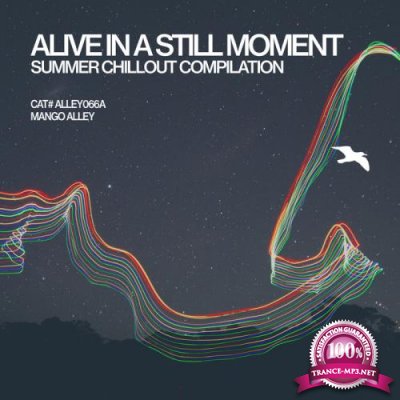 Alive In A Still Moment (2017)