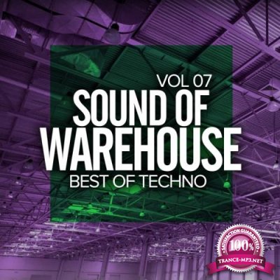 Sound Of Warehouse Vol 7 Best Of Techno (2017)