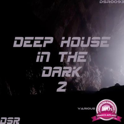 Deep House in the Dark, Vol. 2 (2017)