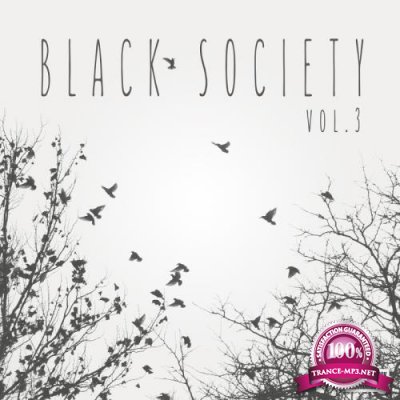 Black Society, Vol. 3 (2017)