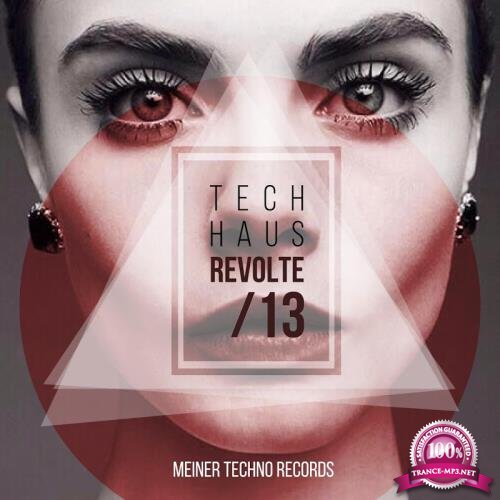 Tech-Haus Revolte 13 (2017)