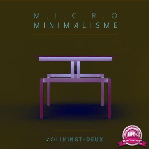 Micro Minimalisme Vol. Vingt-Deux (2017)
