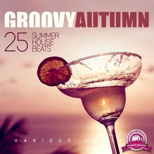 Groovy Autumn (25 Summer House Beats) (2017)