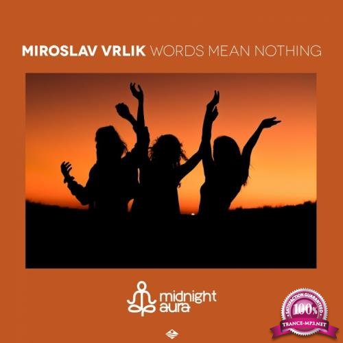 Miroslav Vrlik - Words Mean Nothing (2017)
