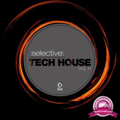 Selective Tech House, Vol. 11 (2017)