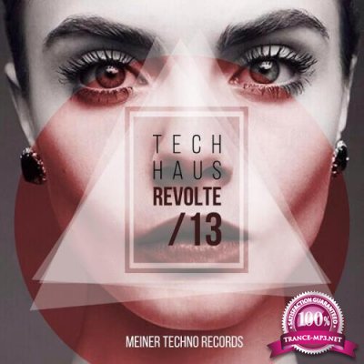 Tech-Haus Revolte 13 (2017)
