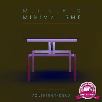 Micro Minimalisme Vol. Vingt-Deux (2017)