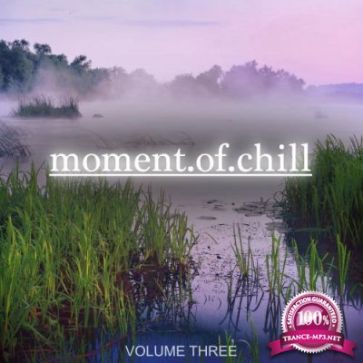 Moment Of Chill, Vol. 3 (2017)