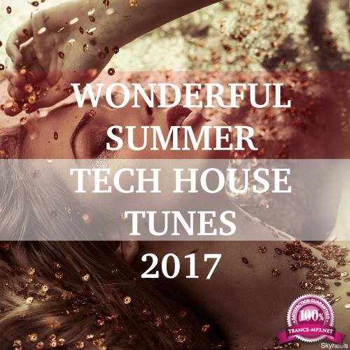Wonderful Summer Tech House Tunes 2017 (2017)
