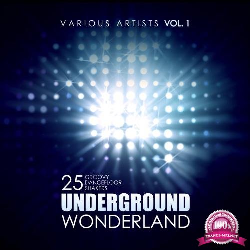 Underground Wonderland (25 Groovy Dancefloor Shakers), Vol. 1 (2017)
