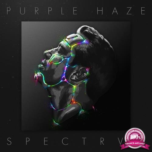 Purple Haze - SPECTRVM (2017)