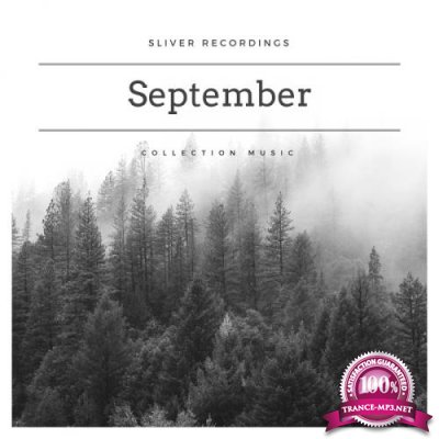 Sliver Recordings: September Collection Music (2017)