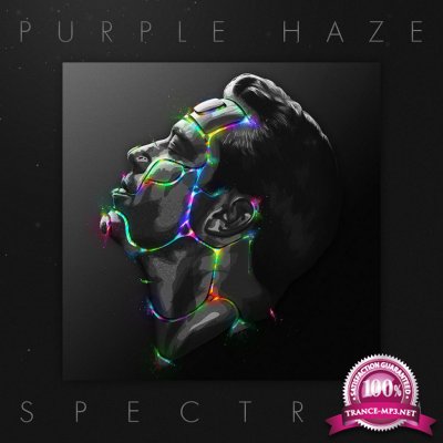 Sander van Doorn pres. Purple Haze - SPECTRVM (2017)