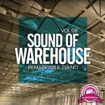 Sound Of Warehouse, Vol.8: Remarkable Tekno (2017)