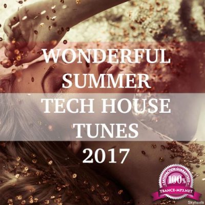 Wonderful Summer Tech House Tunes 2017 (2017)