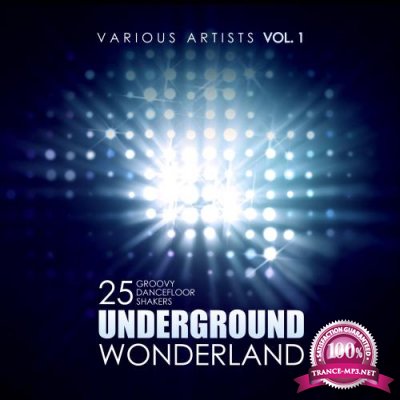 Underground Wonderland (25 Groovy Dancefloor Shakers), Vol. 1 (2017)